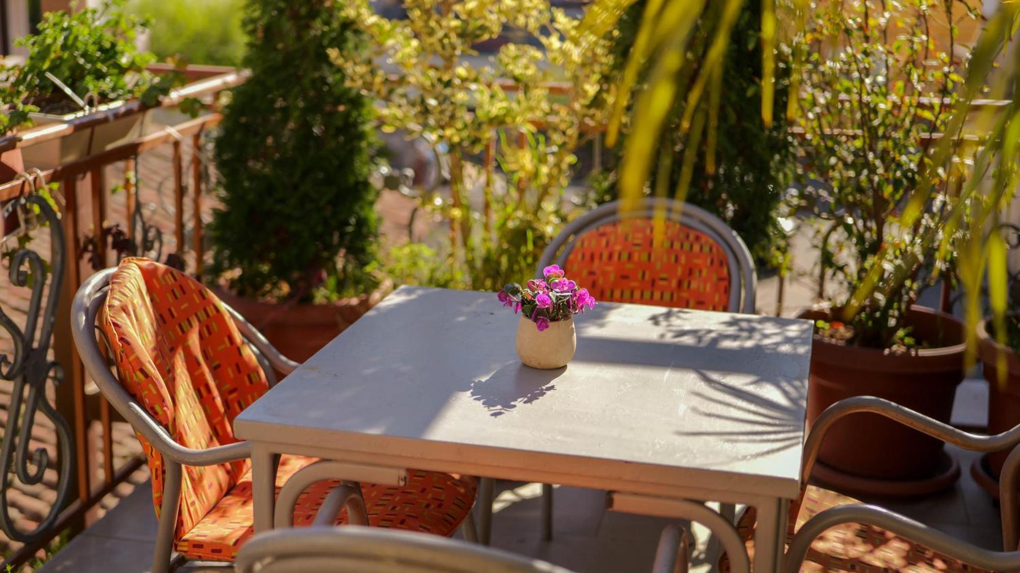 Shkodra Guest House & Trips Esterno foto