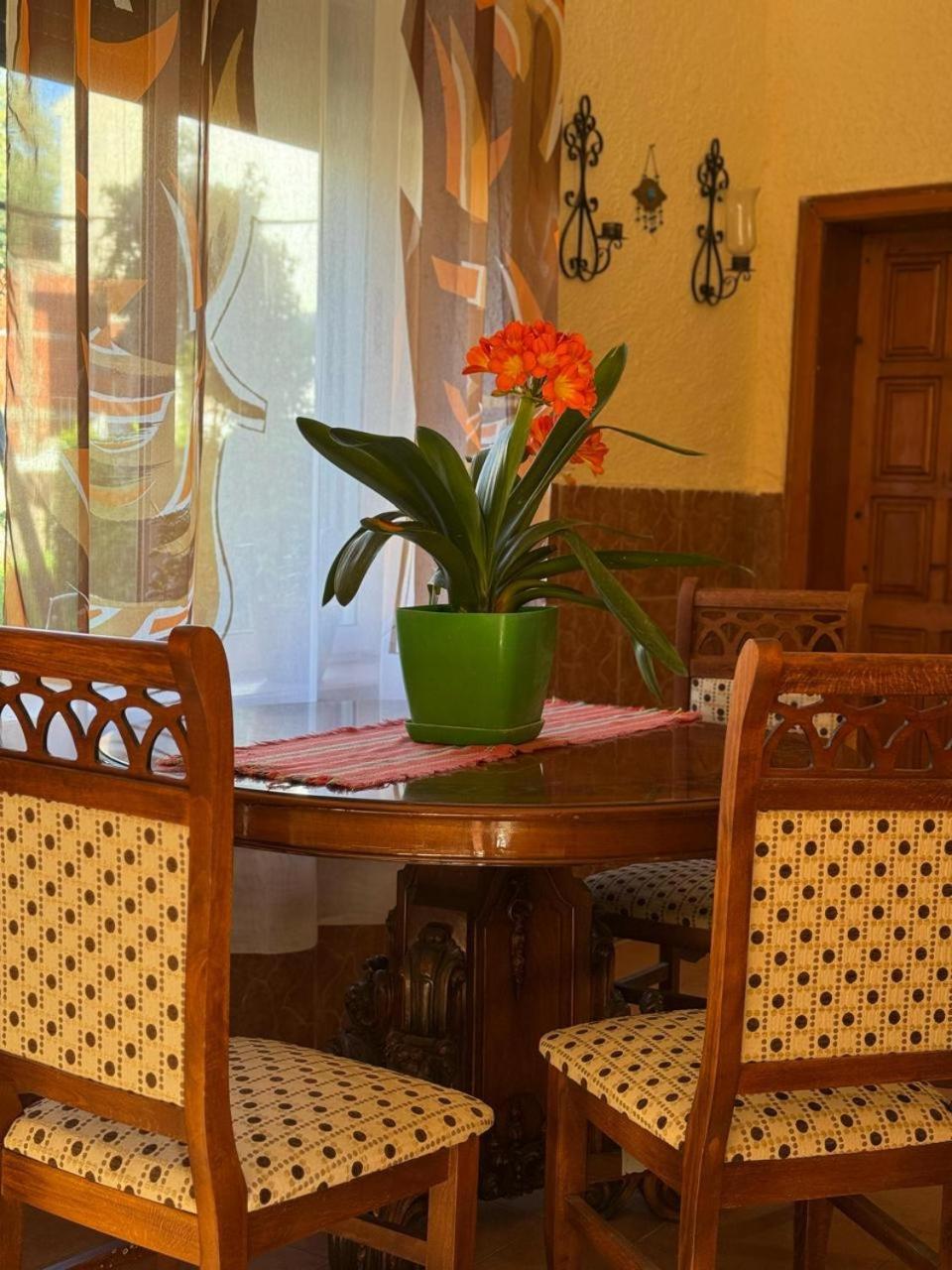 Shkodra Guest House & Trips Esterno foto